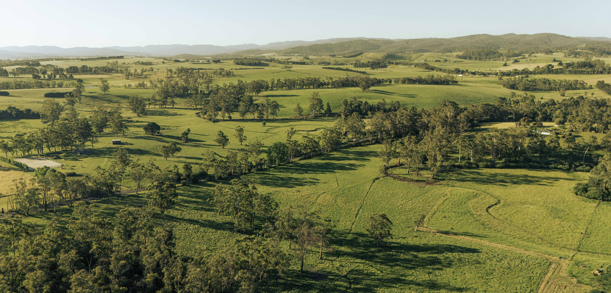 Birdseye view of the pastures of Tarago River Beef West Gippsland